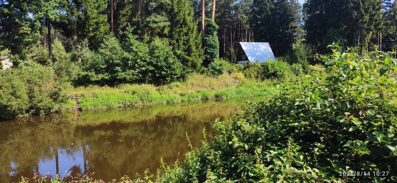 Chata Mareček - v lesní osadě u řeky Lužnice Villa Skalice Exterior foto