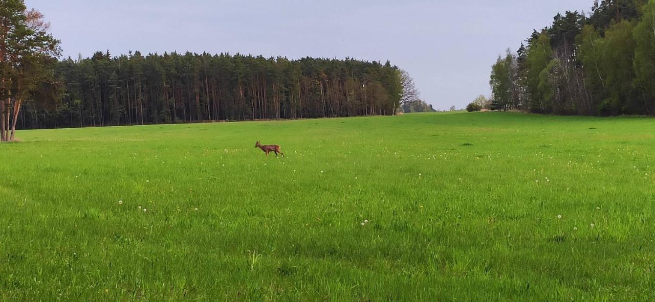 Chata Mareček - v lesní osadě u řeky Lužnice Villa Skalice Exterior foto